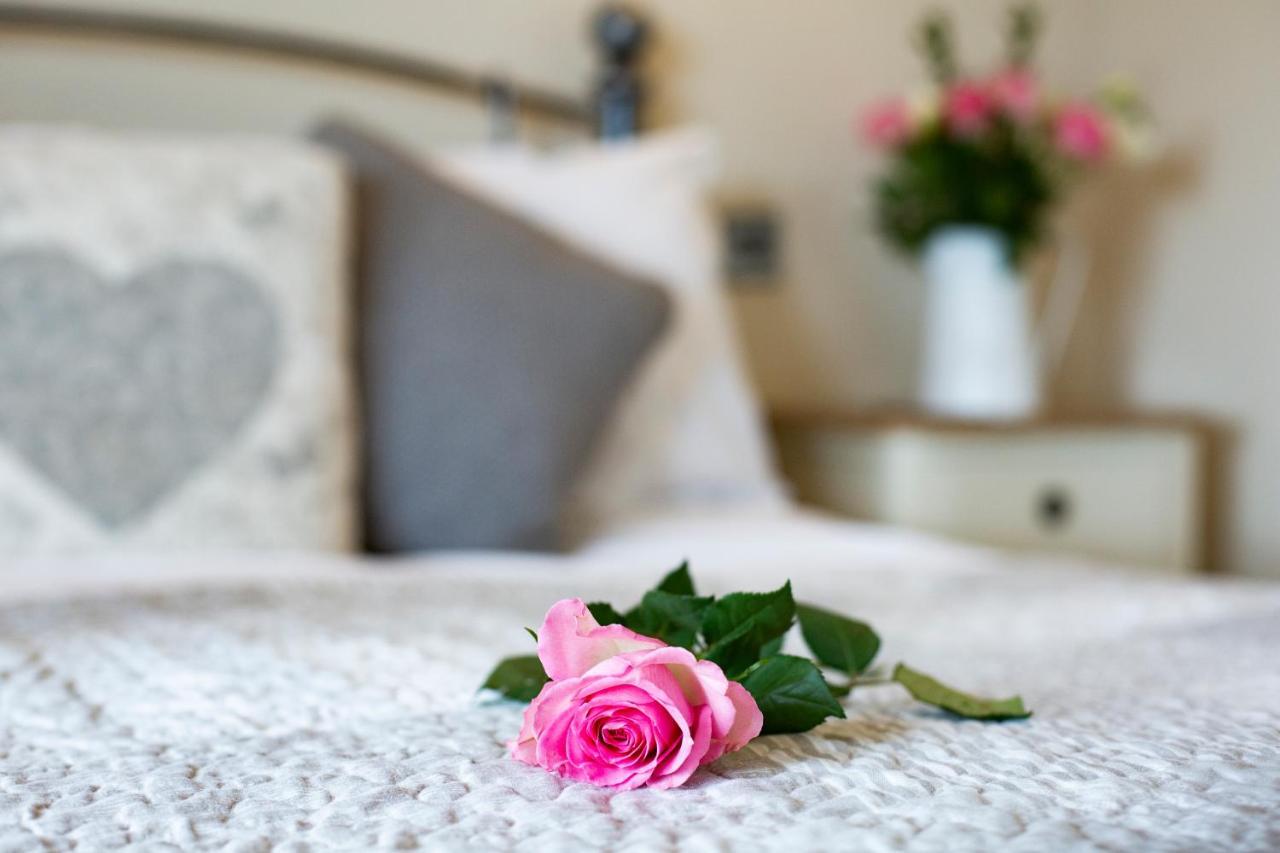 レッドヒル アコモデーション ブリストル エアポート Bed & Breakfast エクステリア 写真